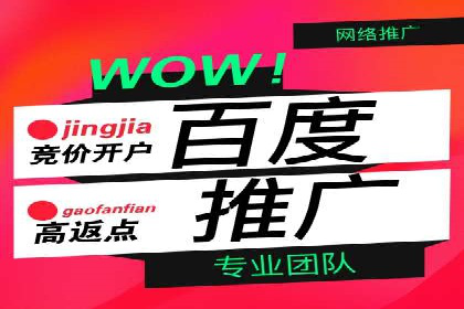 行业领先企业的网络推广开户策略