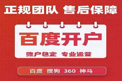 成功sem公司的策略与执行